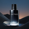Dior迪奥旷野男士香水系列 木质芳香调 60ml 100ml【CDF】 商品缩略图1