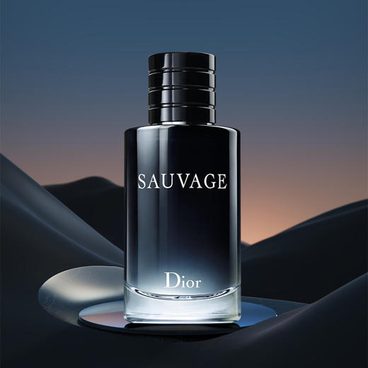 Dior迪奥旷野男士香水系列 木质芳香调 60ml 100ml【CDF】 商品图1