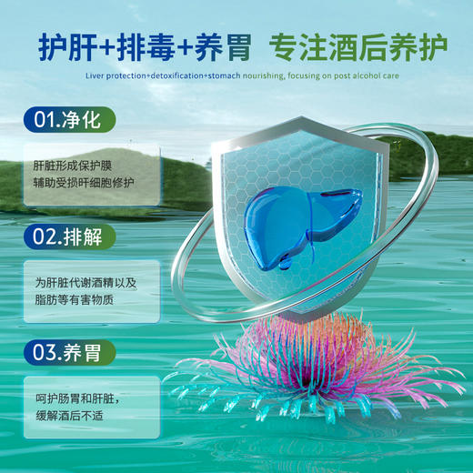 ⁵近效清仓26.5.8美国进口【奶蓟草胶囊】 解酒熬夜皮黄 奶蓟草+水溶性姜黄+朝鲜蓟+谷胱氨肽 60粒/瓶【Mkule 】YY-5-QTT-SA 商品图3