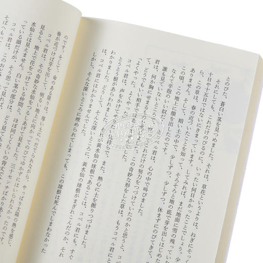 【中商原版】你想活出怎样的人生 单行本小说 苍鹭与少年 日文原版 君たちはどう生きるか 宫崎骏同名电影 吉野源三郎 入选日本教科书 商品图3