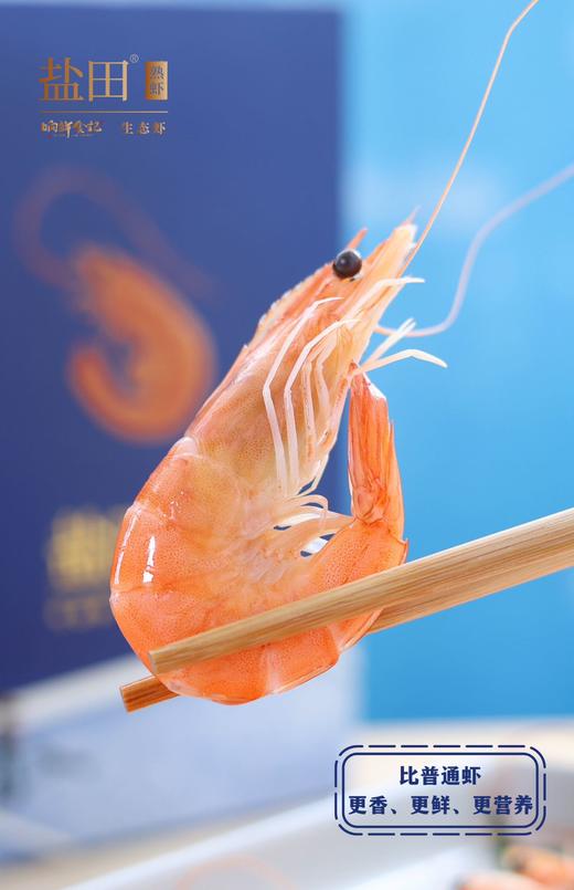 虾中贵族  盐田熟虾 商品图1