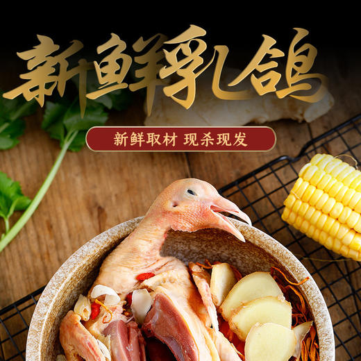 旺鲜汪临泉县单桥镇张老村生态放养乳鸽现杀冰鲜乳鸽2只装 商品图3