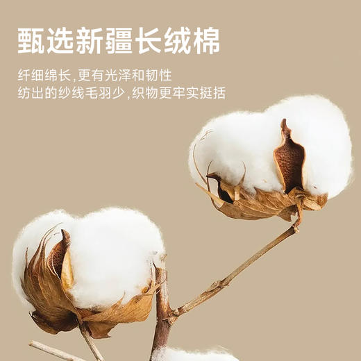 100%棉【新款DQ】大依优型长袖T恤重磅棉男宽松个性字母上衣胖子加肥加大肥佬潮款纯棉 商品图3