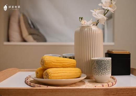 田里有草【甜糯玉米】高端绿色！爆浆爽口 鲜嫩丝滑 集色香甜糯于一身 饱腹感超强 一穗抗半天！ 商品图5