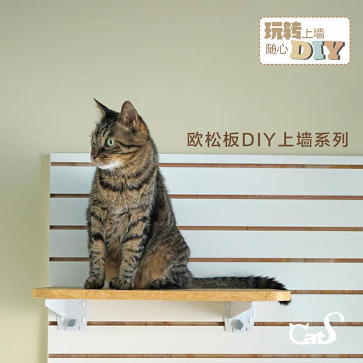 CatS小红帽系列 可DIY自由组合墙上猫跳台猫爬架欧松板小户型 商品图1