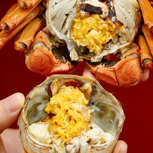 蟹鲜生大闸蟹，阳澄湖大闸蟹活体螃蟹 ，死蟹包赔！！ABCD型号可以发全母，全公，公母对半，下单备注型号和发货日期！ 商品图2