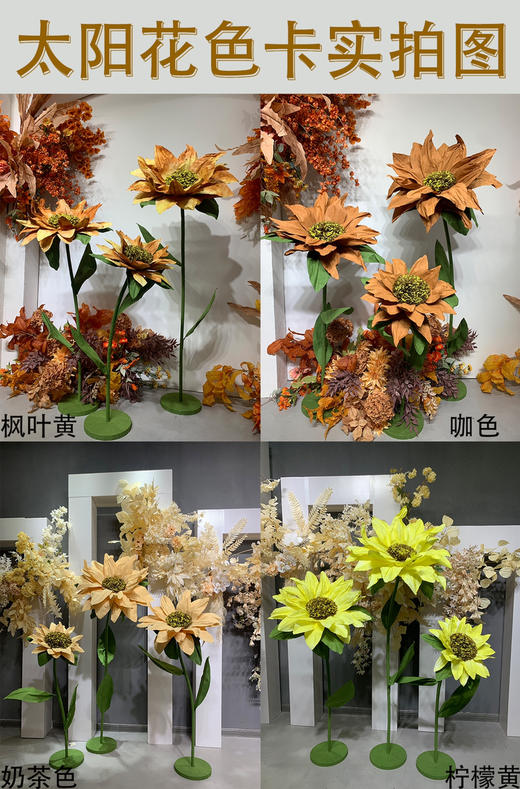 太阳花（运费自理） 商品图0