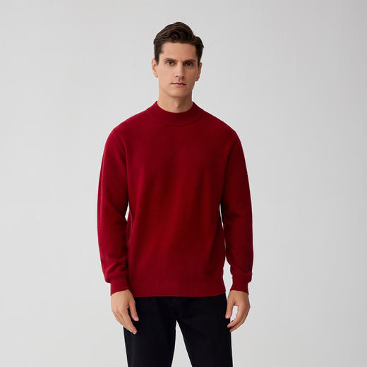 【男士半高领羊绒衫】羊绒世家秋冬新品23年秋冬新品男士100%山羊绒纯色内搭保暖毛衣 商品图0