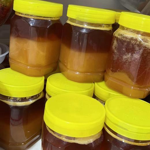 神农架天然野生土蜂蜜，百花蜜，木桶蜜500g 商品图1