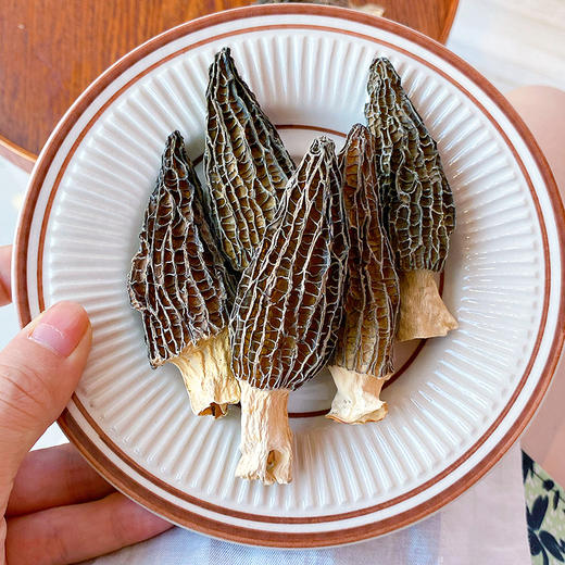 『福建羊肚菌』味道鲜美 营养丰富 商品图5