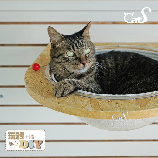 CatS小红帽系列 可DIY自由组合墙上猫跳台猫爬架欧松板小户型 商品图3