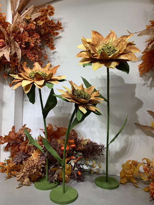 太阳花（运费自理） 商品图4