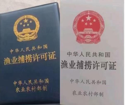 【顺丰包邮到家｜密云水库野生有机鱼，每日新鲜打捞 ，水库鱼全部来自首都水源地，肉质鲜嫩、营养丰富、纯野生无土腥味、无污染而闻名。 商品图8