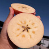 甄源|陕西洛川红富士苹果脆甜多汁5斤9斤中果大果 商品缩略图1