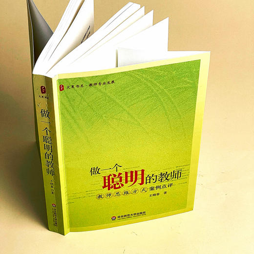 做一个聪明的教师 教师思维方式案例点评 王晓春 大夏书系 商品图6