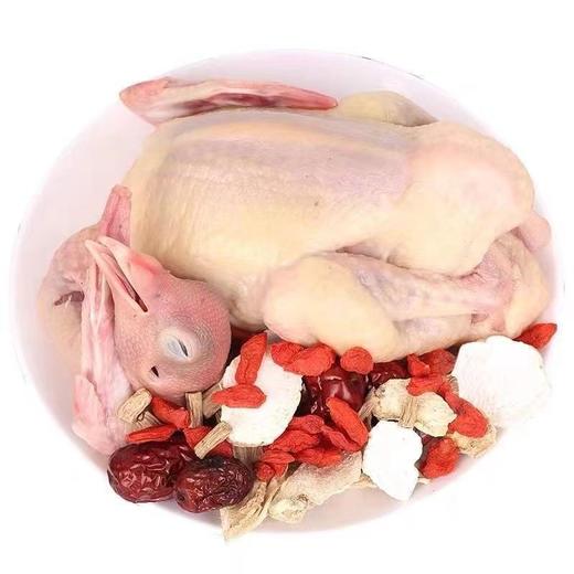 旺鲜汪临泉县单桥镇张老村生态放养乳鸽现杀冰鲜乳鸽2只装 商品图1