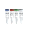 Hyperactive pAG-Tn5 Transposase for CUT&Tag 商品缩略图0