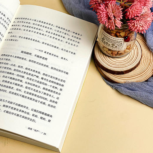 做一个聪明的教师 教师思维方式案例点评 王晓春 大夏书系 商品图13