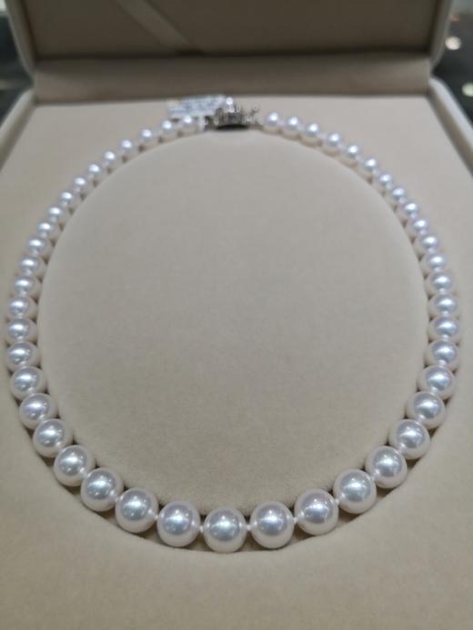 2F  金鸿珍珠 商品图0