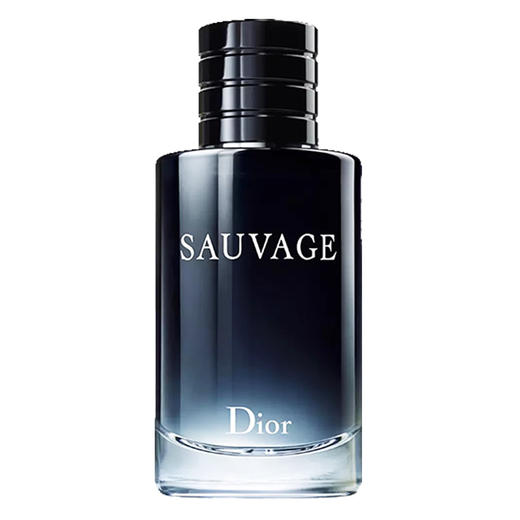 Dior迪奥旷野男士香水系列 木质芳香调 60ml 100ml【CDF】 商品图4
