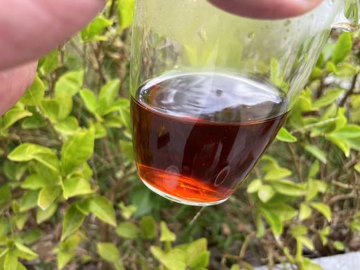 2019年 纯干仓 金芽老茶头 布朗山大树茶 250克/份  500克/份 商品图6