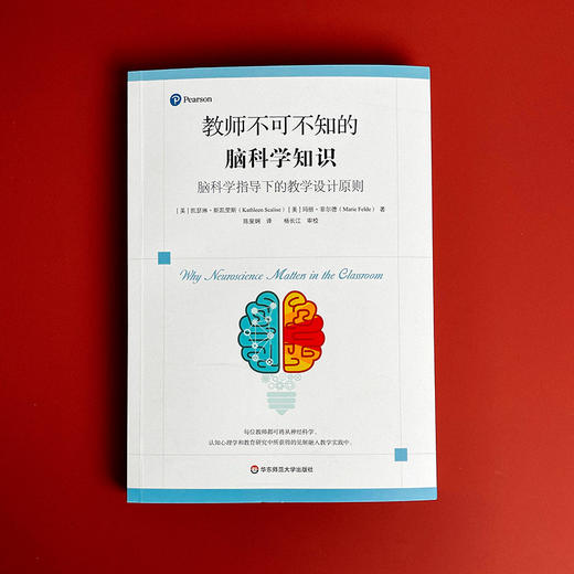 教师不可不知的脑科学知识 脑科学指导下的教学设计原则 神经科学 认知心理学 教学指导核心原则 商品图1