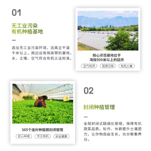 北菜园有机蔬菜礼盒8斤+伯纳德 臻选牛排礼盒538型 1860g【LXKG5.0】 商品图2