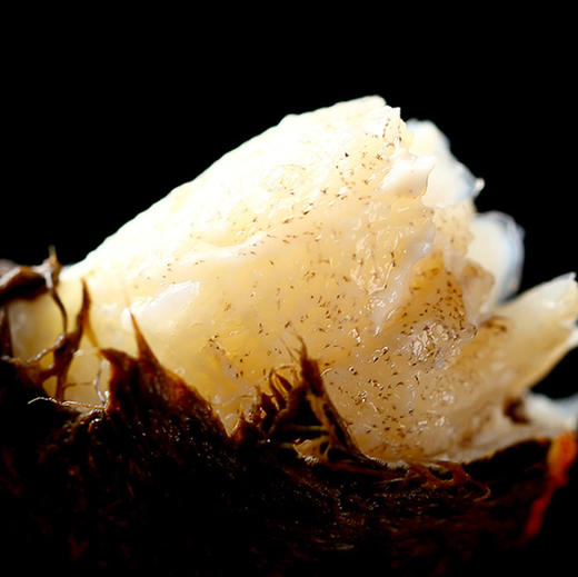 【礼券】阳澄联合大闸蟹礼券螃蟹券中秋礼盒礼品卡海鲜水产 商品图2