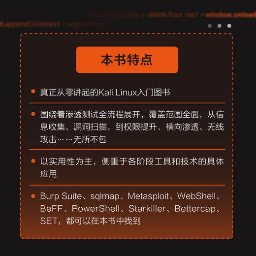 Kali Linux渗透测试全流程详解Kali Linux书籍网络渗透测试实践指南网络渗透测试信息*物联网 商品图2