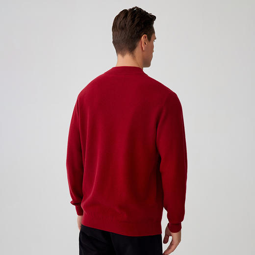 【男士半高领羊绒衫】羊绒世家秋冬新品23年秋冬新品男士100%山羊绒纯色内搭保暖毛衣 商品图2