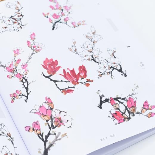 国画技法综合教程 新手入门一本通 正统国画技法入门*基础教程书籍写意临摹入门自学牡丹梅兰竹菊动物花鸟水墨中国画图册范本 商品图4