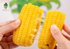 田里有草【甜糯玉米】高端绿色！爆浆爽口 鲜嫩丝滑 集色香甜糯于一身 饱腹感超强 一穗抗半天！ 商品缩略图4
