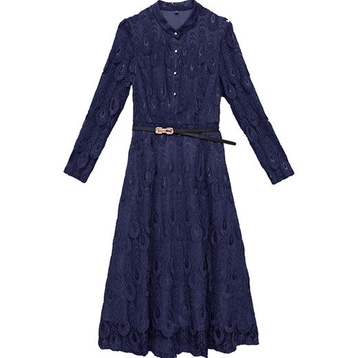 QYM 231381-Y时尚气质孔雀羽毛花长款连衣裙 商品图4