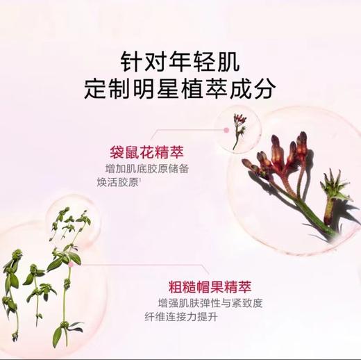 娇韵诗（CLARINS）弹簧水/紧致焕颜精华水 200ml 新包装 商品图4