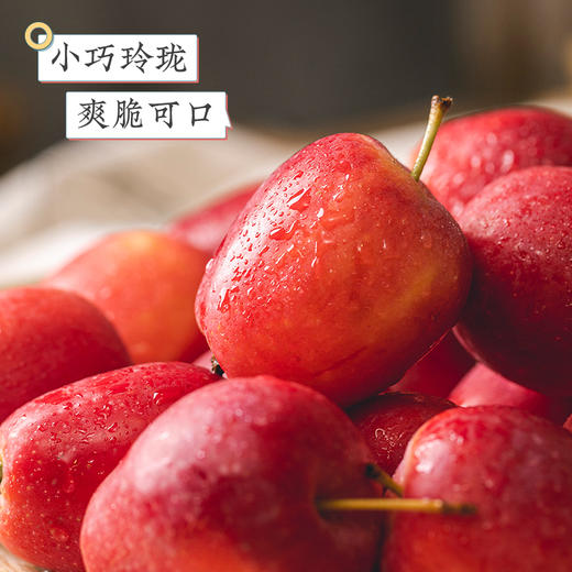 【酸甜可口  水分充足】新疆伊犁 · 香妃海棠果（伊犁种植  郑州发货） 商品图1