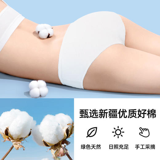 社群专属秒杀 | 国庆出游GRAREY 一次性纯棉无菌日抛女士内裤2包14条[福利品] 商品图10