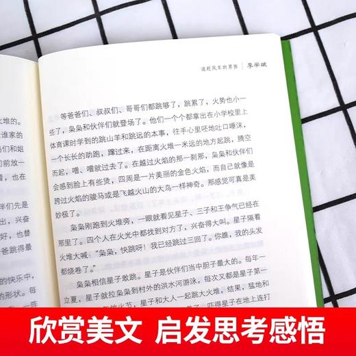 儿童文学获奖作家书系全套5册 追赶风车的男孩 青春校园小说适合男孩女孩看的小说经典书籍三四五年级必读课外书阅读书目 商品图3