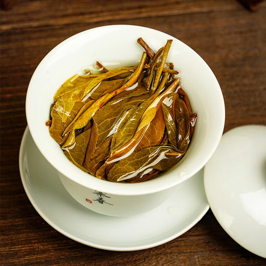 【古寨秘境九星级】2018年头春头采古寨春独享资源片区仅四棵高杆古树荒放20年品质空前拍5发7 商品图5