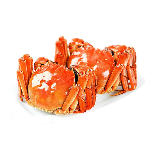 亿品阳澄阳澄湖大闸蟹 亿品天下（4对装） 商品图4