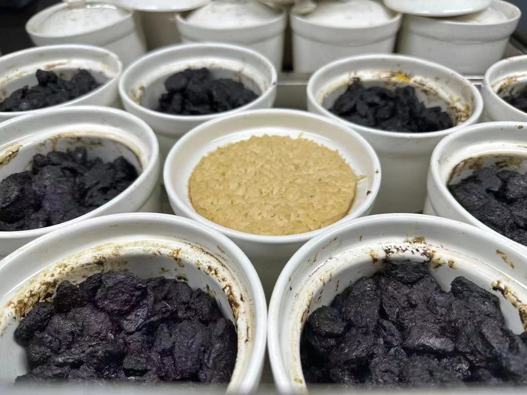 古法玉灵膏 72小时蒸制 漳州本地桂圆肉+长白山人参 西洋参 不添加蔗糖 不易上火 250克