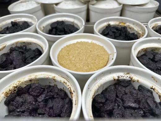 古法玉灵膏 72小时蒸制 漳州本地桂圆肉+长白山人参 西洋参 不添加蔗糖 不易上火 250克 商品图0