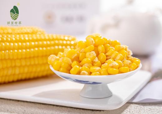 田里有草【甜糯玉米】高端绿色！爆浆爽口 鲜嫩丝滑 集色香甜糯于一身 饱腹感超强 一穗抗半天！ 商品图3