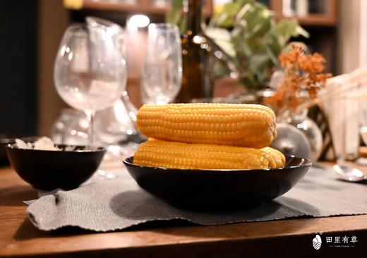 田里有草【甜糯玉米】高端绿色！爆浆爽口 鲜嫩丝滑 集色香甜糯于一身 饱腹感超强 一穗抗半天！ 商品图6
