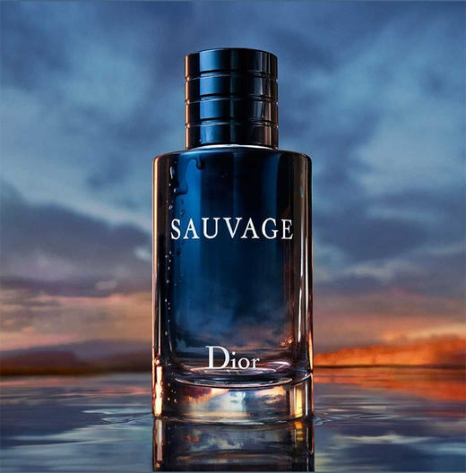 Dior迪奥旷野男士香水系列 木质芳香调 60ml 100ml【CDF】 商品图0