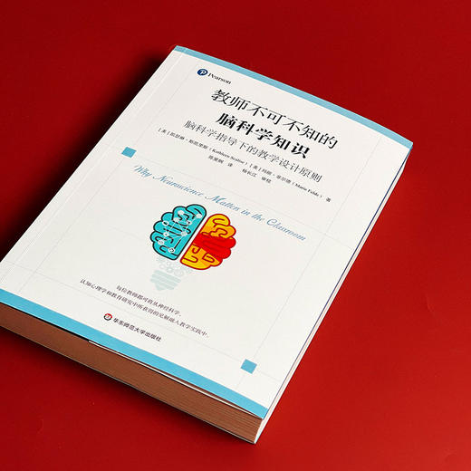 教师不可不知的脑科学知识 脑科学指导下的教学设计原则 神经科学 认知心理学 教学指导核心原则 商品图4