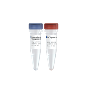 Hyperactive pAG-Tn5 Transposon for CUT&Tag