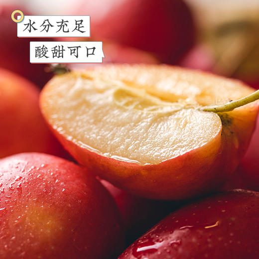 【酸甜可口  水分充足】新疆伊犁 · 香妃海棠果（伊犁种植  郑州发货） 商品图2