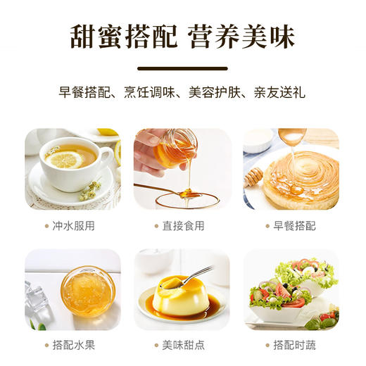 【槐花蜜】甘井槐花蜜.觅蜜计划 礼盒130 g*6支 商品图2