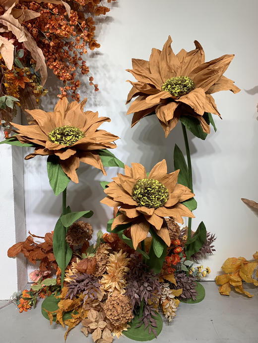 太阳花（运费自理） 商品图1