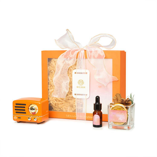 MW-2A猫王小王子FM蓝牙便携式音箱 商品图4